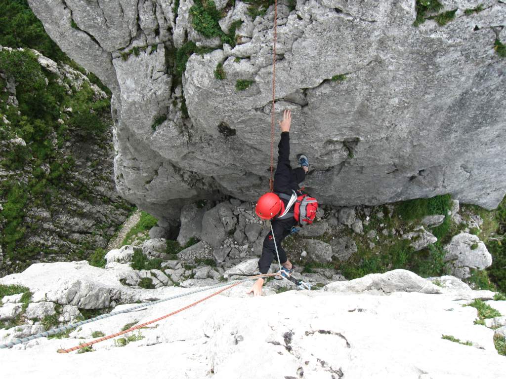 uebertritt loewenzaehne