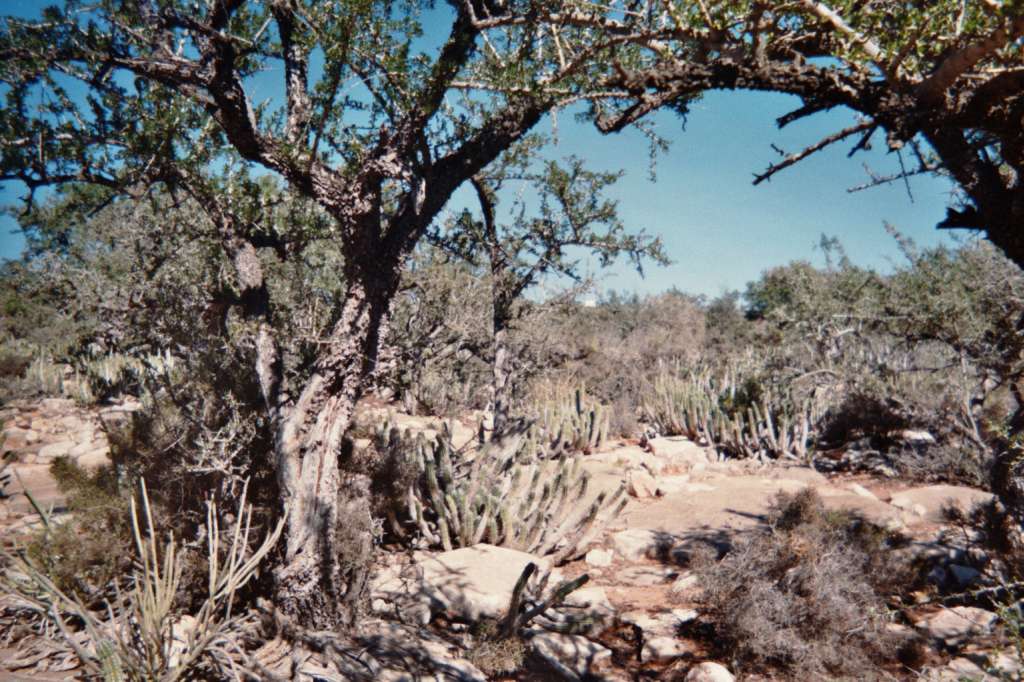 big/2_imm020_18.jpg