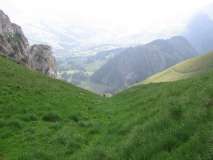 IMG_4250.jpg