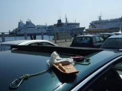 DSCF8350.JPG