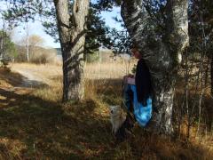 DSCF0161.JPG