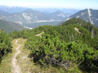IMG_1647.jpg