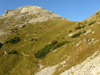 IMG_1831.jpg