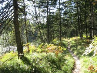 IMG_2060.jpg