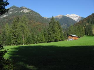 IMG_2066.jpg