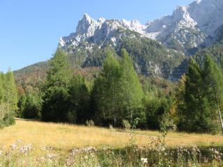IMG_2079.jpg
