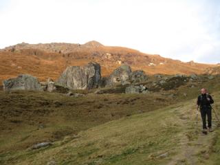 IMG_2370.jpg