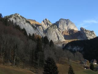 IMG_2586.jpg
