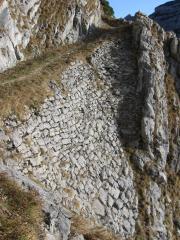 IMG_2612.jpg