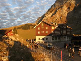 IMG_2884.jpg