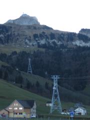 IMG_2935.jpg