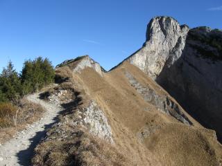 IMG_3003.jpg